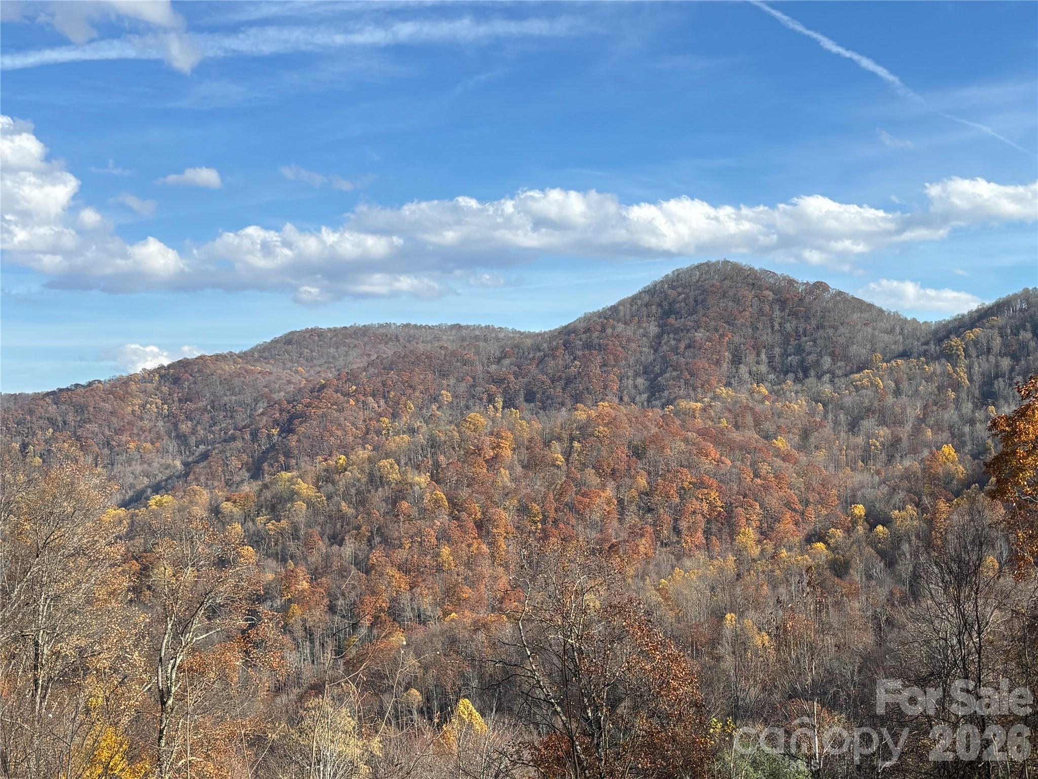 (West Lot) Meadow Fork Road Hot Springs NC 28743