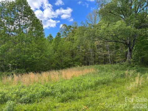 (West Lot) Meadow Fork Road Hot Springs NC 28743