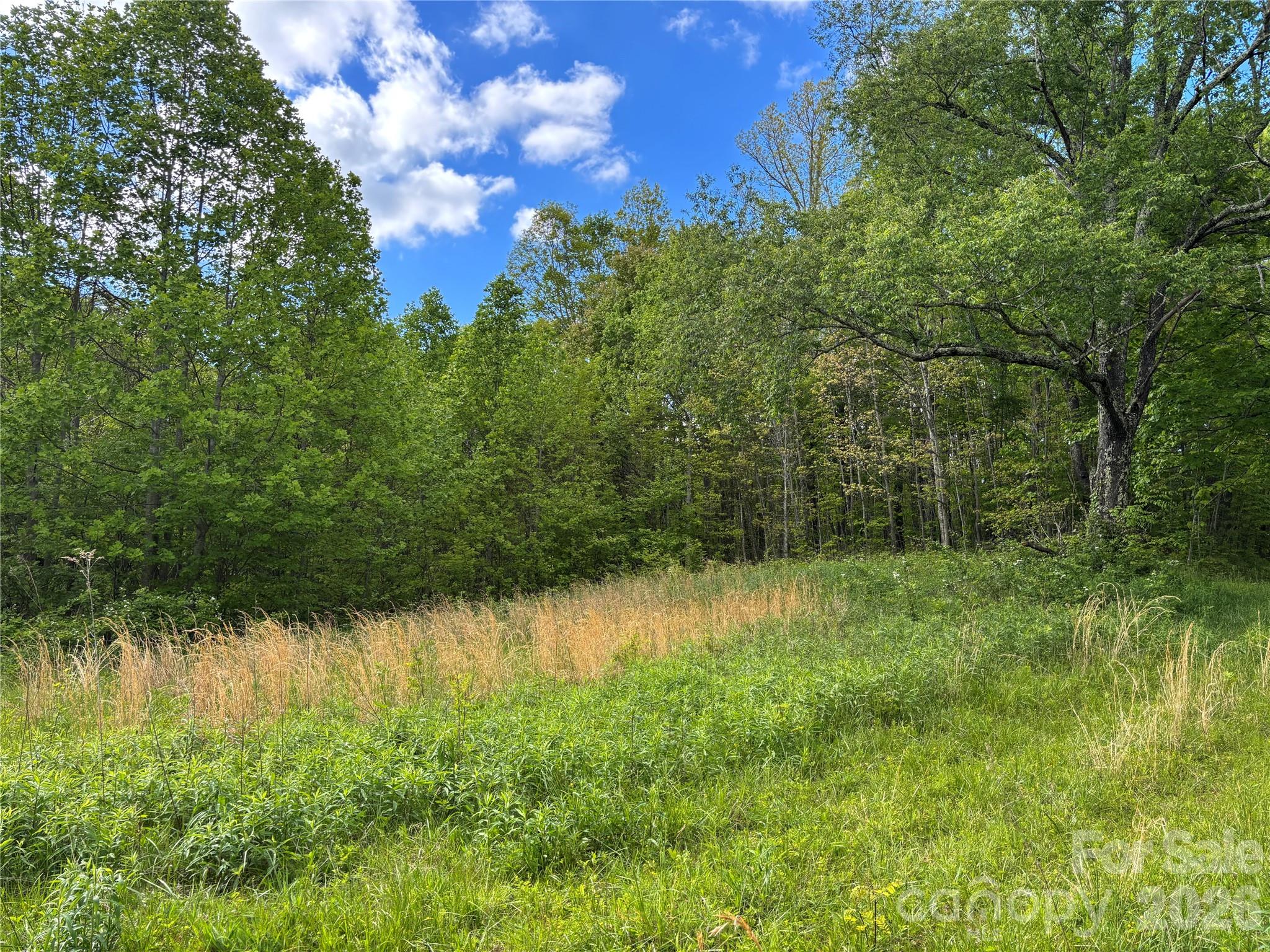 (West Lot) Meadow Fork Road Hot Springs NC 28743