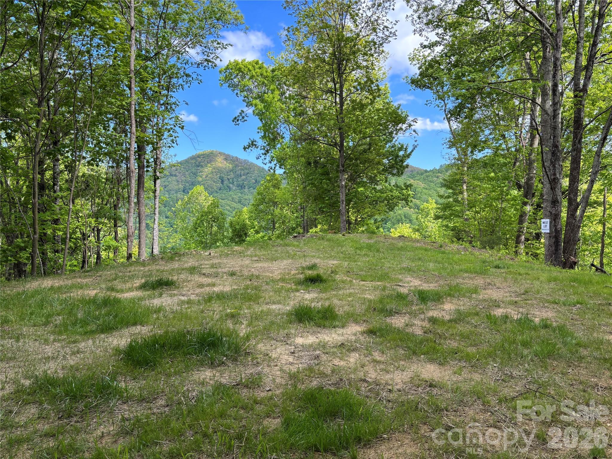 (West Lot) Meadow Fork Road Hot Springs NC 28743