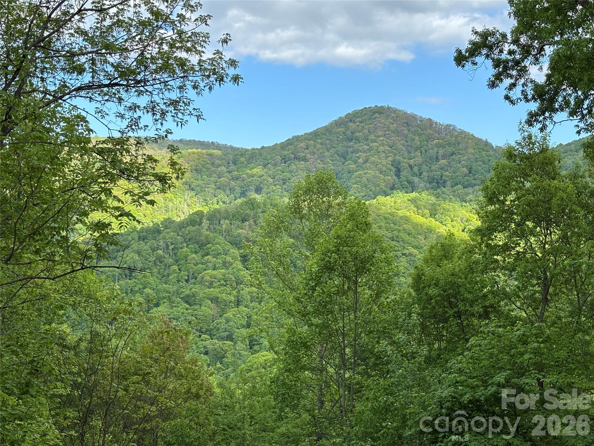 (West Lot) Meadow Fork Road Hot Springs NC 28743