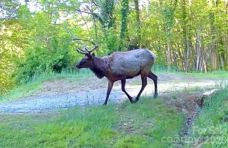 (West Lot) Meadow Fork Road Hot Springs NC 28743