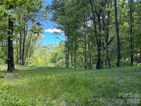 (West Lot) Meadow Fork Road Hot Springs NC 28743