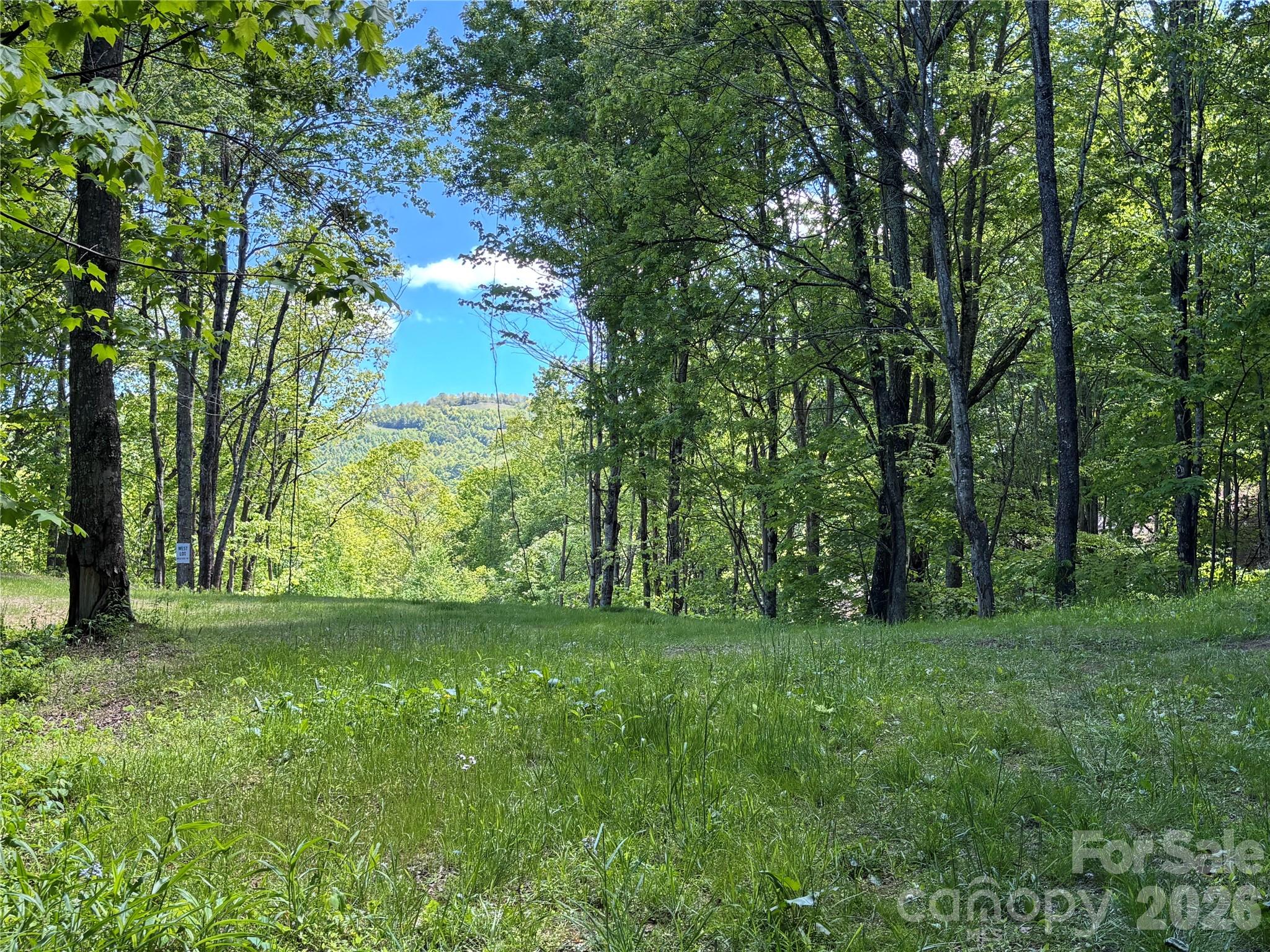 (West Lot) Meadow Fork Road Hot Springs NC 28743