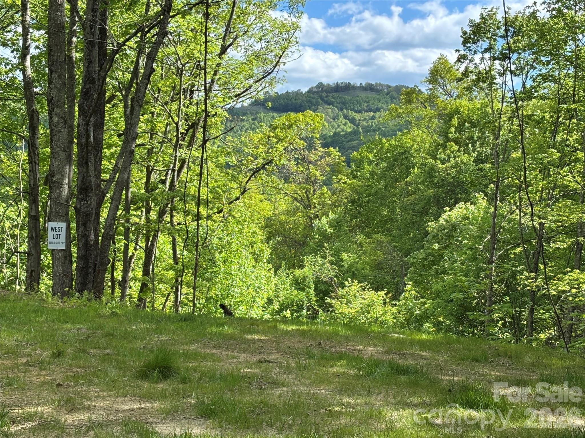 (West Lot) Meadow Fork Road Hot Springs NC 28743