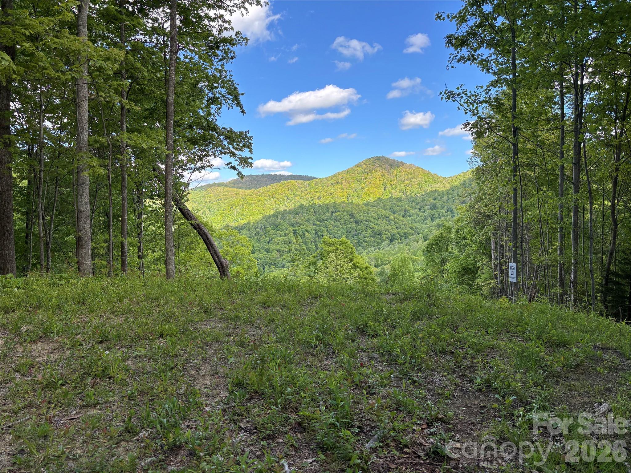 (West Lot) Meadow Fork Road Hot Springs NC 28743
