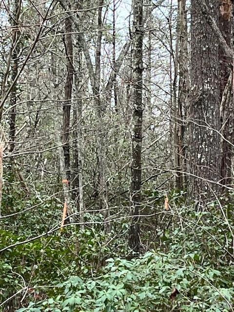 Tbd Quiet Creek Lane Collettsville NC 28611