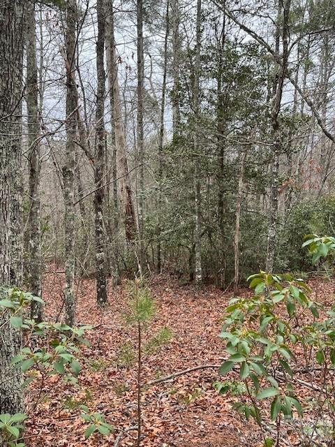 Tbd Quiet Creek Lane Collettsville NC 28611