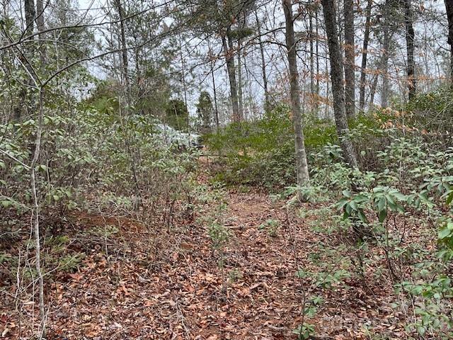 Tbd Quiet Creek Lane Collettsville NC 28611