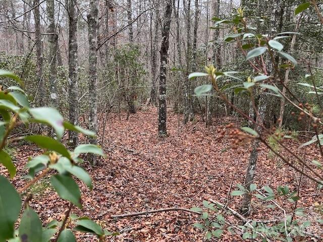 Tbd Quiet Creek Lane Collettsville NC 28611