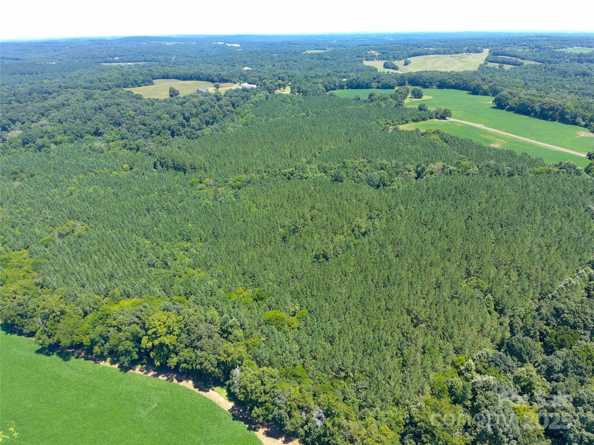 1455 Blonnie Ross Road Polkton NC 28135