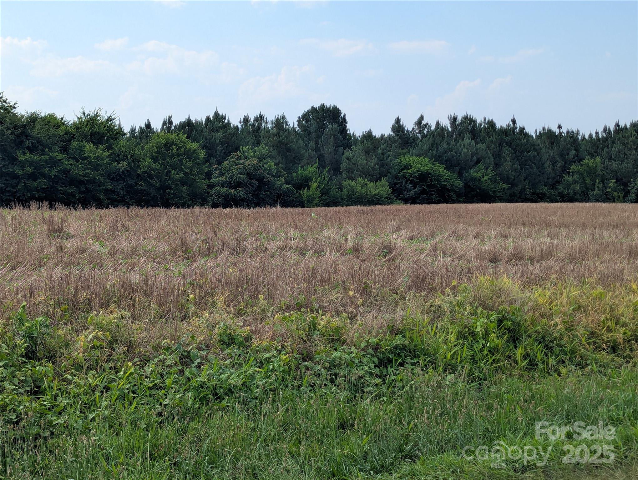 1455 Blonnie Ross Road Polkton NC 28135