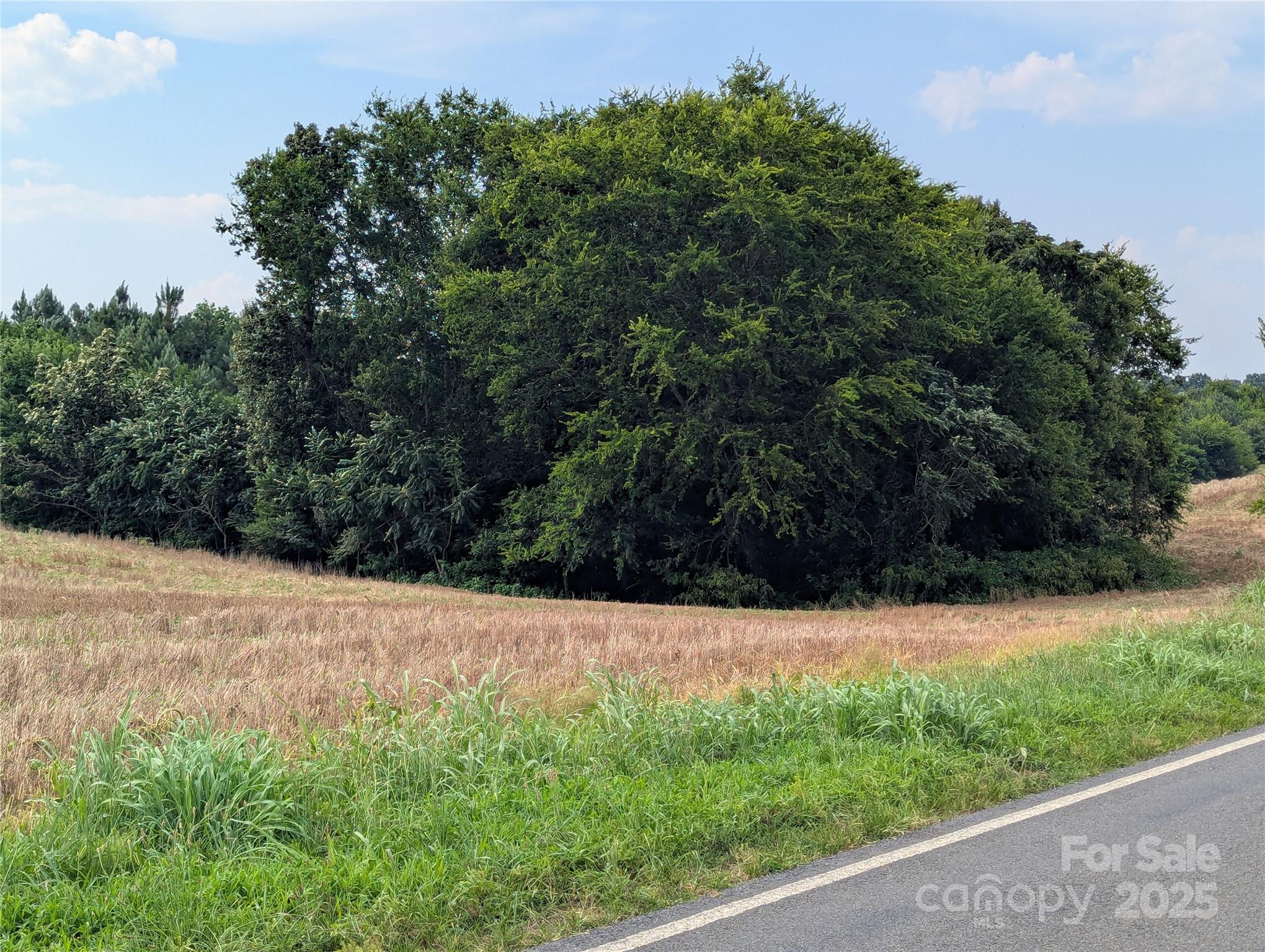 1455 Blonnie Ross Road Polkton NC 28135