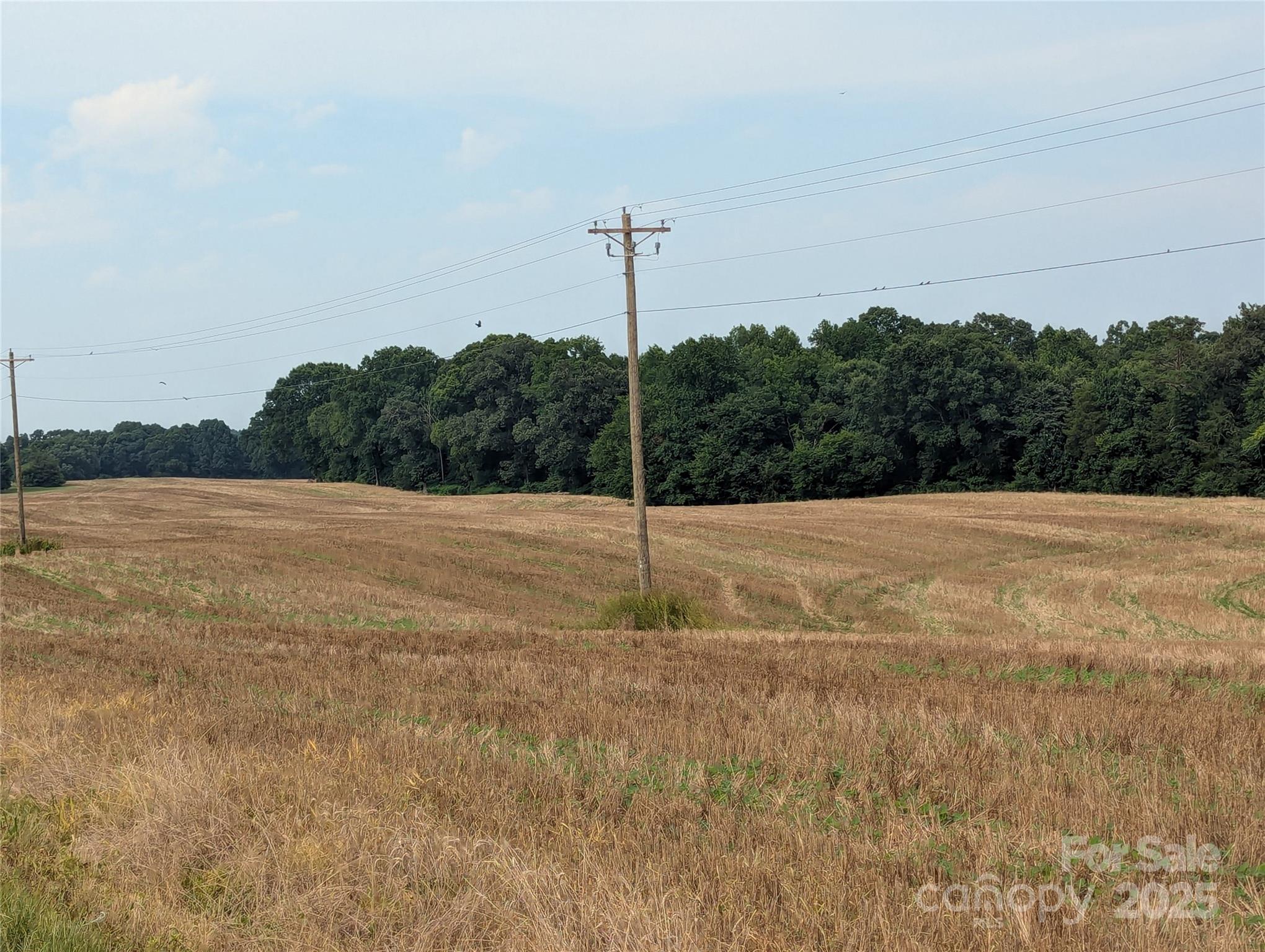 1455 Blonnie Ross Road Polkton NC 28135