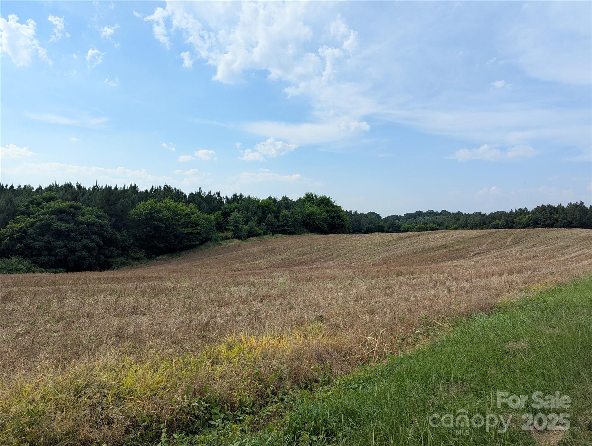 1455 Blonnie Ross Road Polkton NC 28135