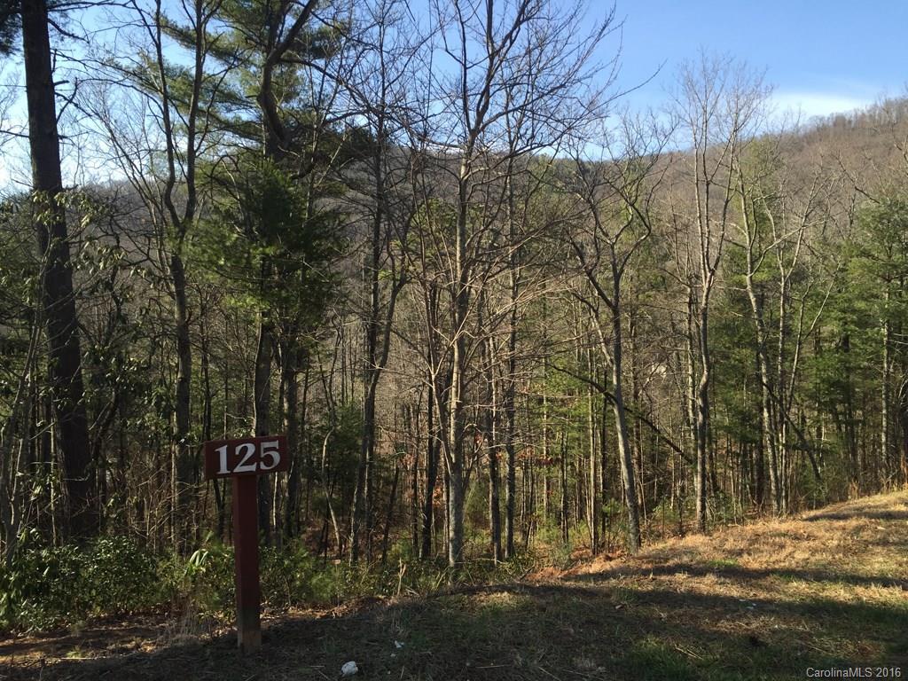 10 Sugarland Ridge Road Fairview NC 28730