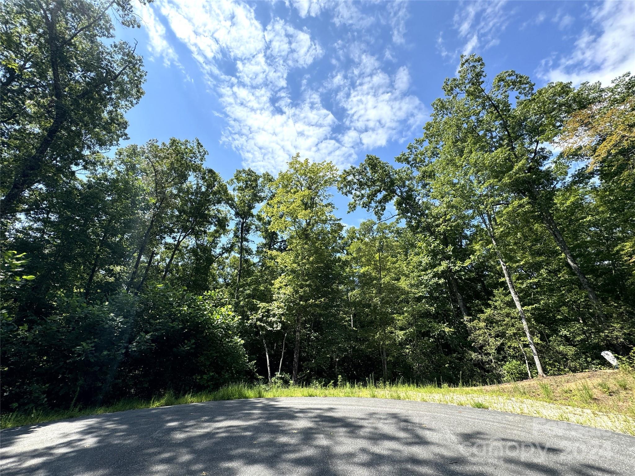 63 Cherry Cove Lane Old Fort NC 28762