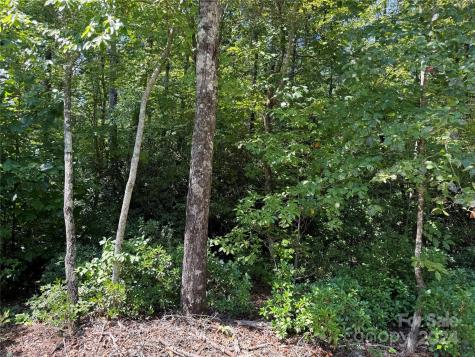 63 Cherry Cove Lane Old Fort NC 28762