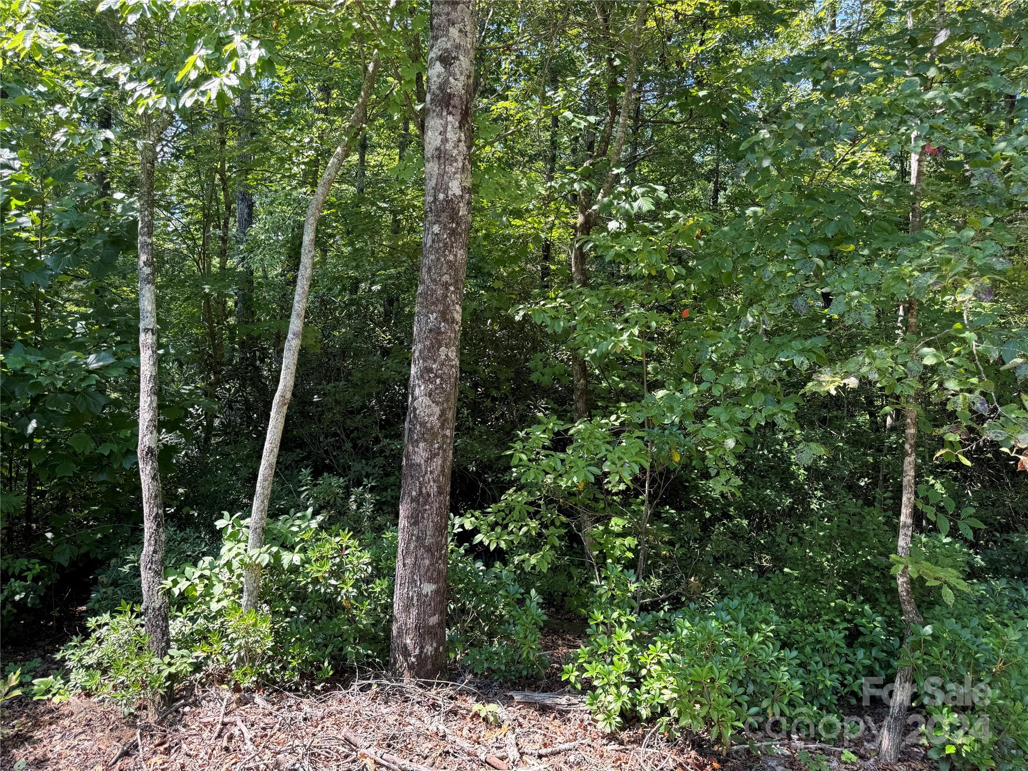 63 Cherry Cove Lane Old Fort NC 28762