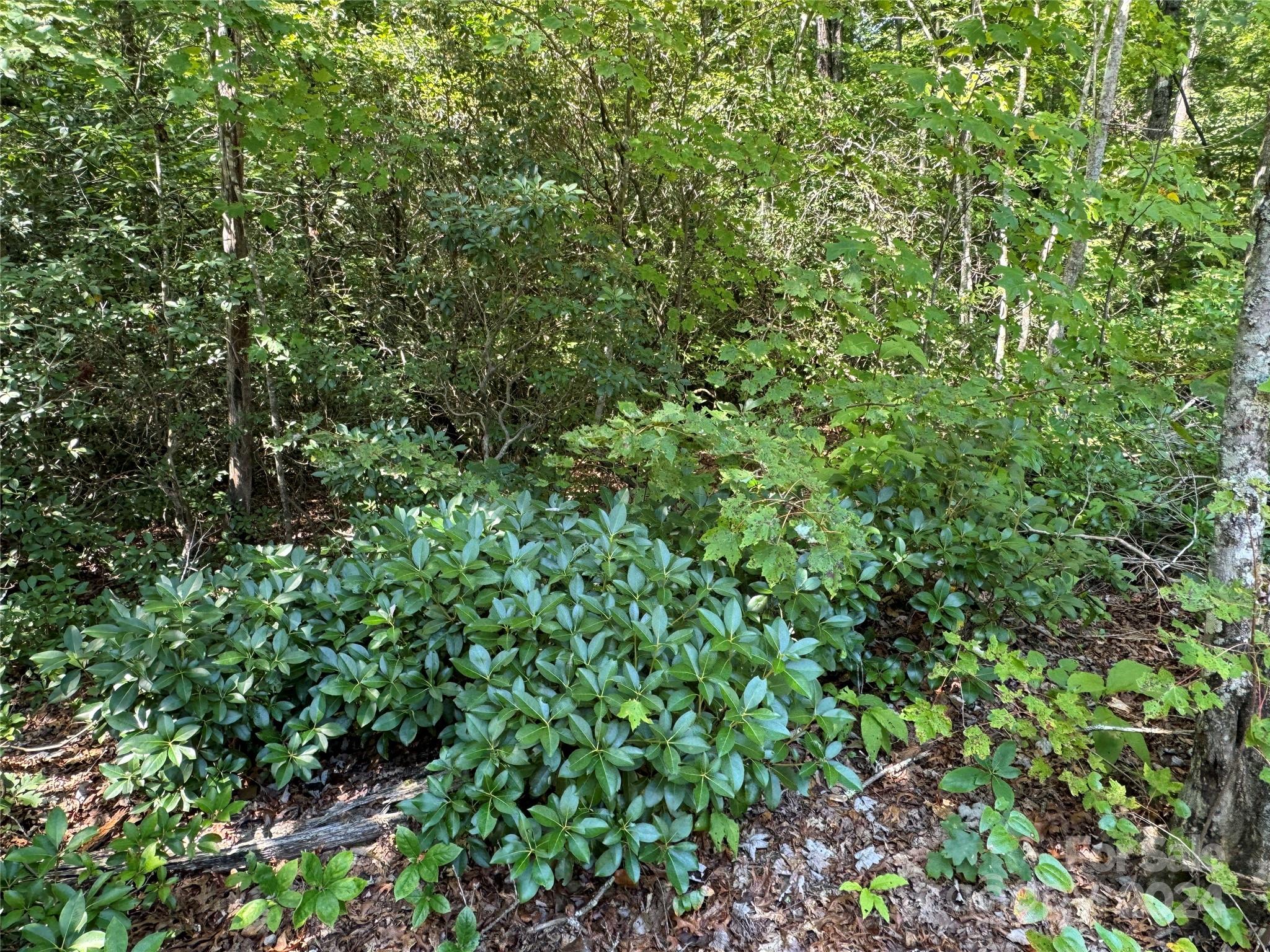 63 Cherry Cove Lane Old Fort NC 28762