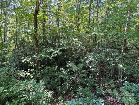 63 Cherry Cove Lane Old Fort NC 28762