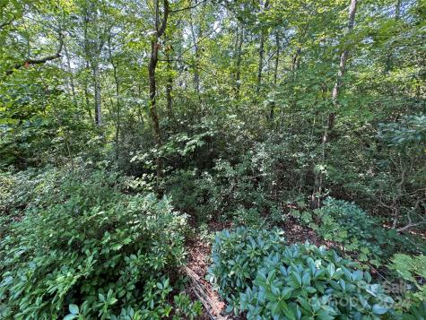 63 Cherry Cove Lane Old Fort NC 28762