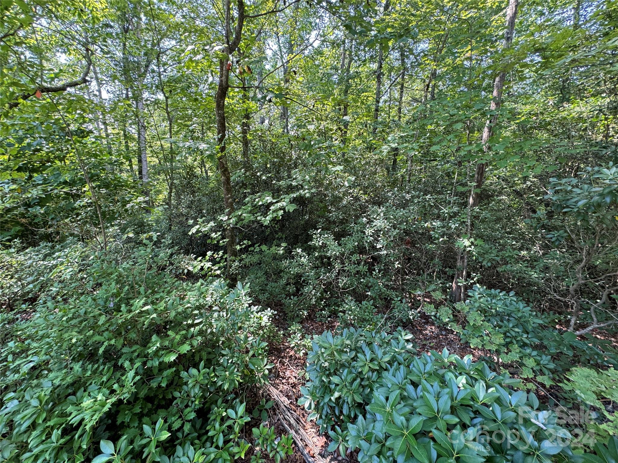 63 Cherry Cove Lane Old Fort NC 28762