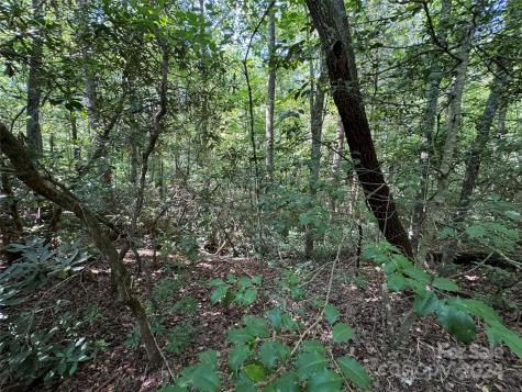 63 Cherry Cove Lane Old Fort NC 28762