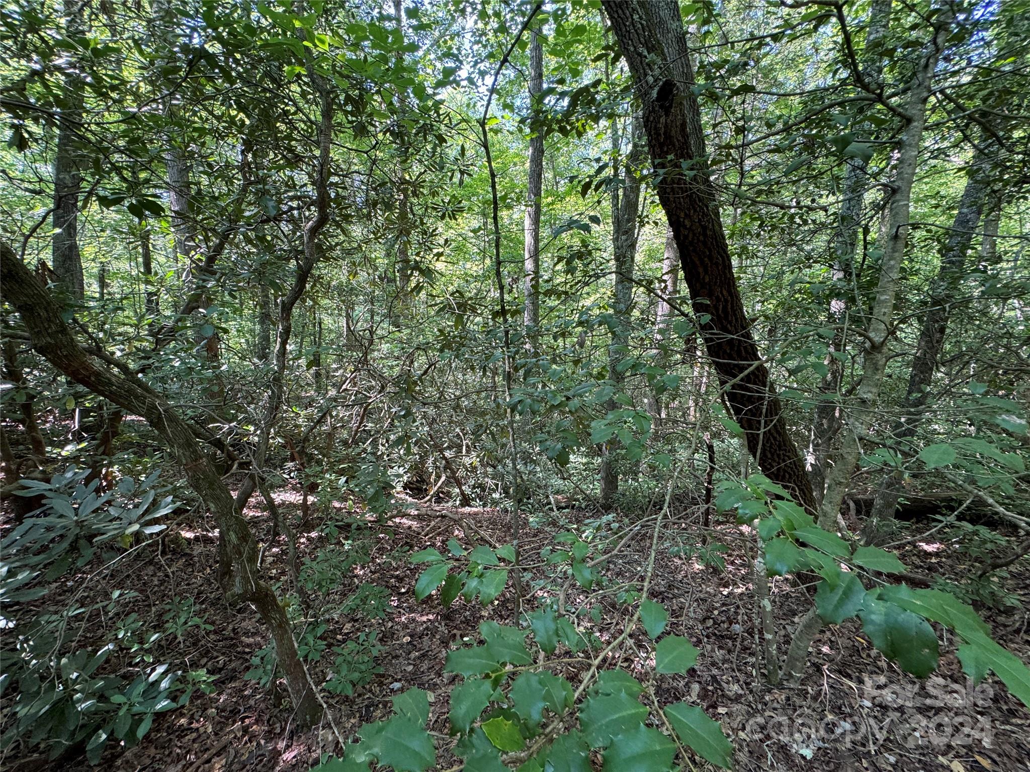 63 Cherry Cove Lane Old Fort NC 28762