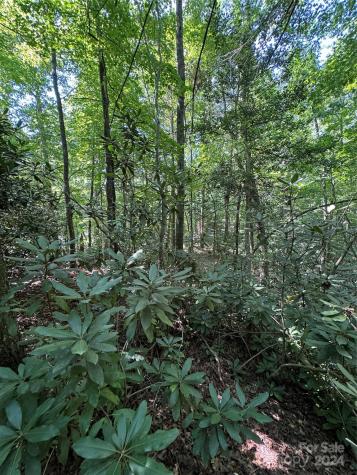 63 Cherry Cove Lane Old Fort NC 28762