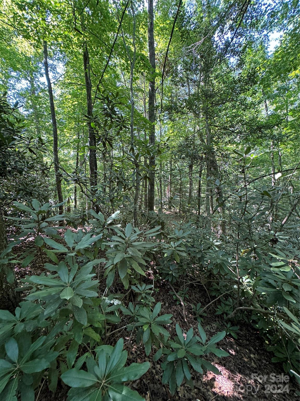 63 Cherry Cove Lane Old Fort NC 28762