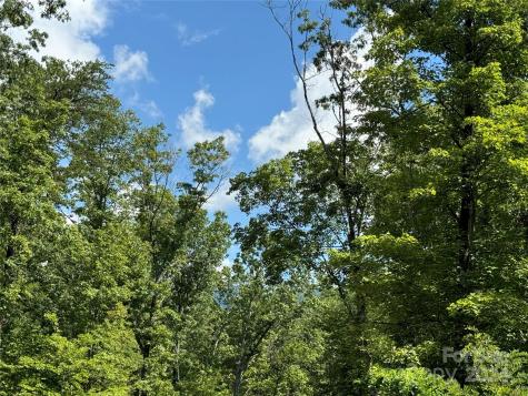 63 Cherry Cove Lane Old Fort NC 28762