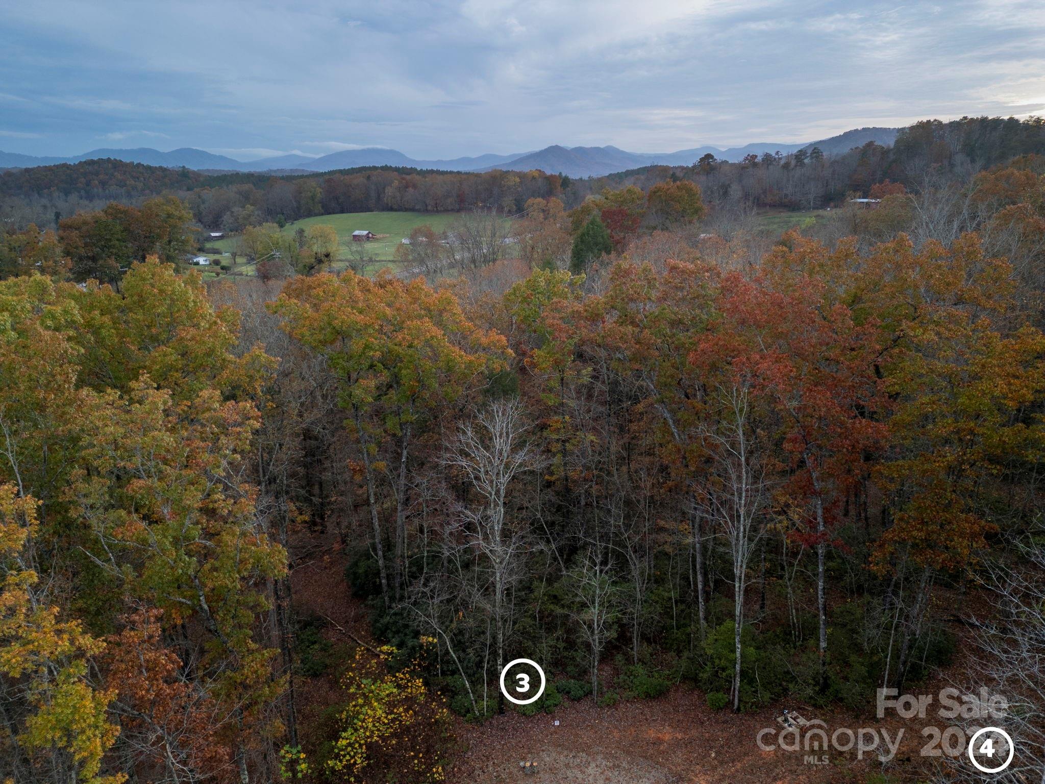 63 Cherry Cove Lane Old Fort NC 28762