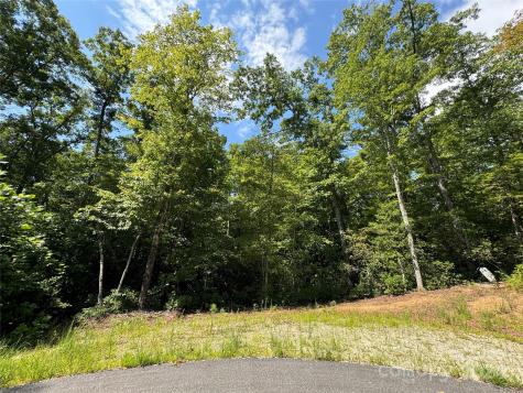 63 Cherry Cove Lane Old Fort NC 28762