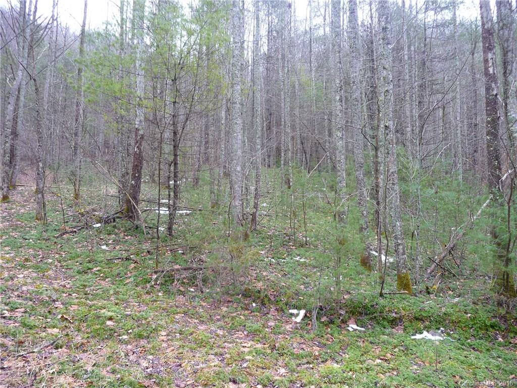 12060 Big Laurel Road Marshall NC 28753