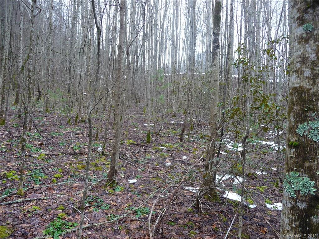 12060 Big Laurel Road Marshall NC 28753