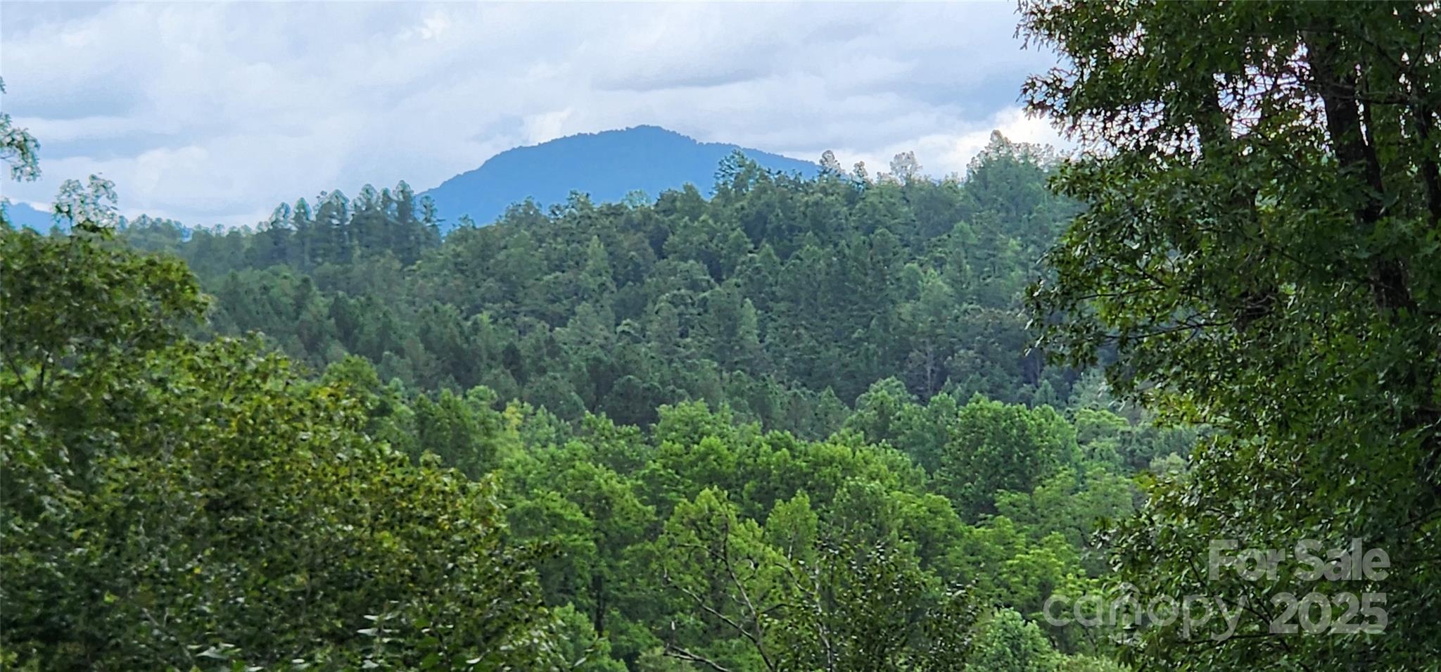 Lot 3 S Cross Creek Trail Mill Spring NC 28756