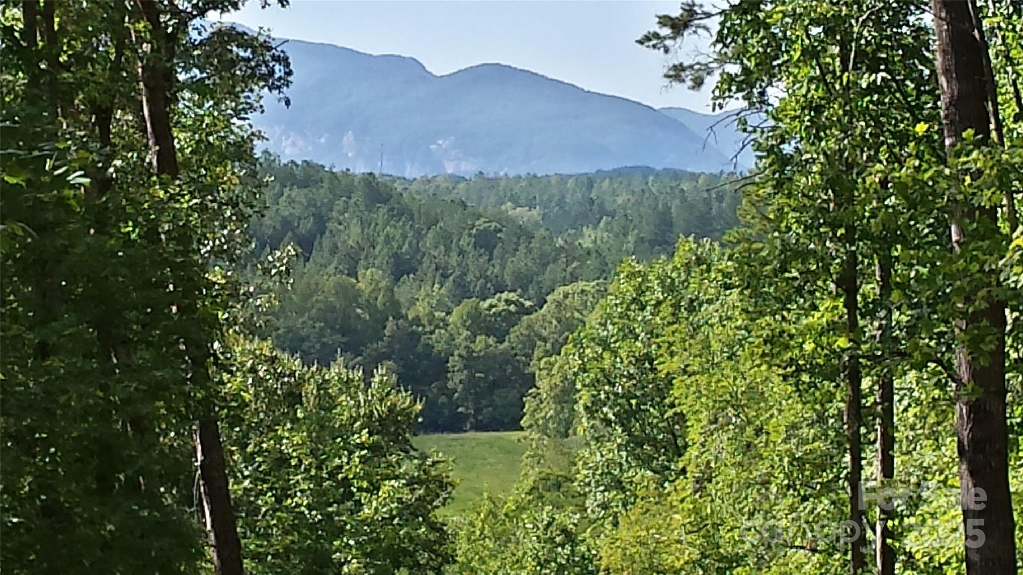 Lot 3 S Cross Creek Trail Mill Spring NC 28756
