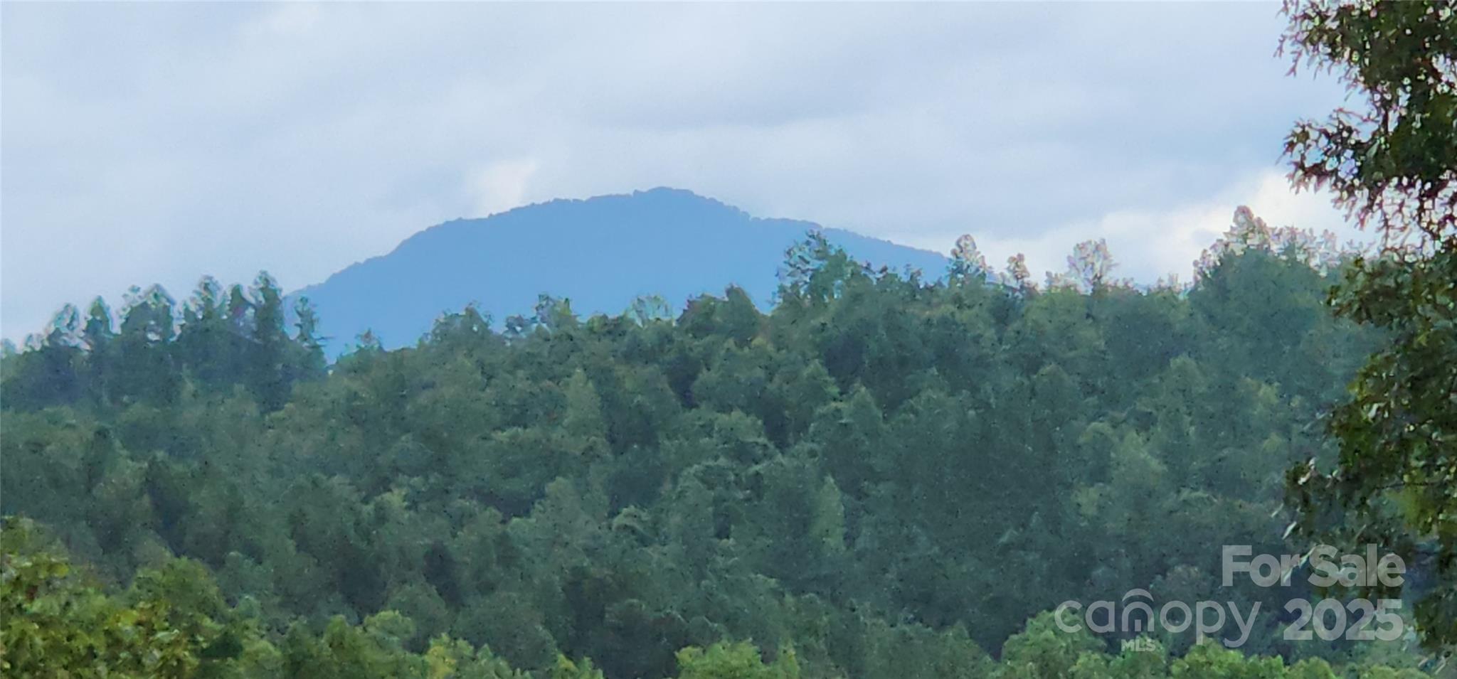 Lot 3 S Cross Creek Trail Mill Spring NC 28756