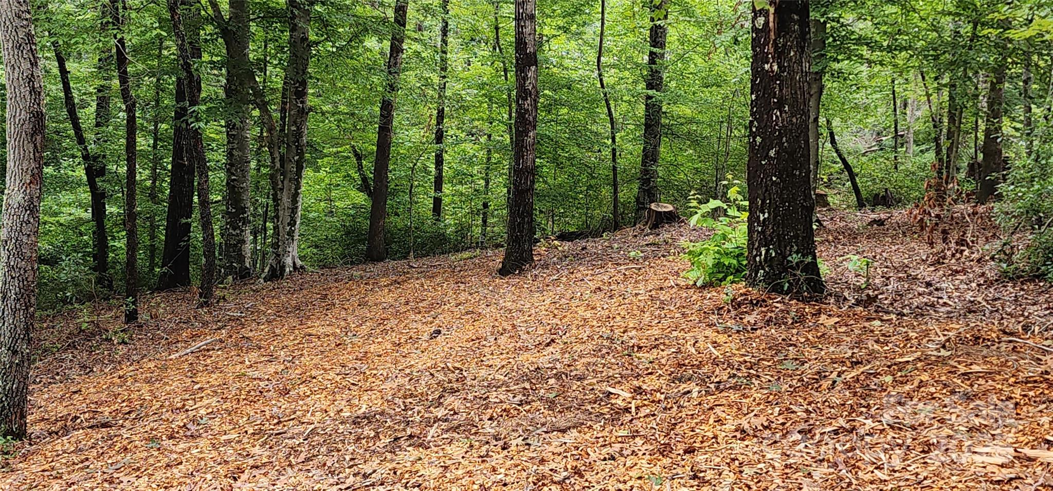 Lot 3 S Cross Creek Trail Mill Spring NC 28756