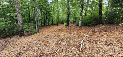 Lot 3 S Cross Creek Trail Mill Spring NC 28756