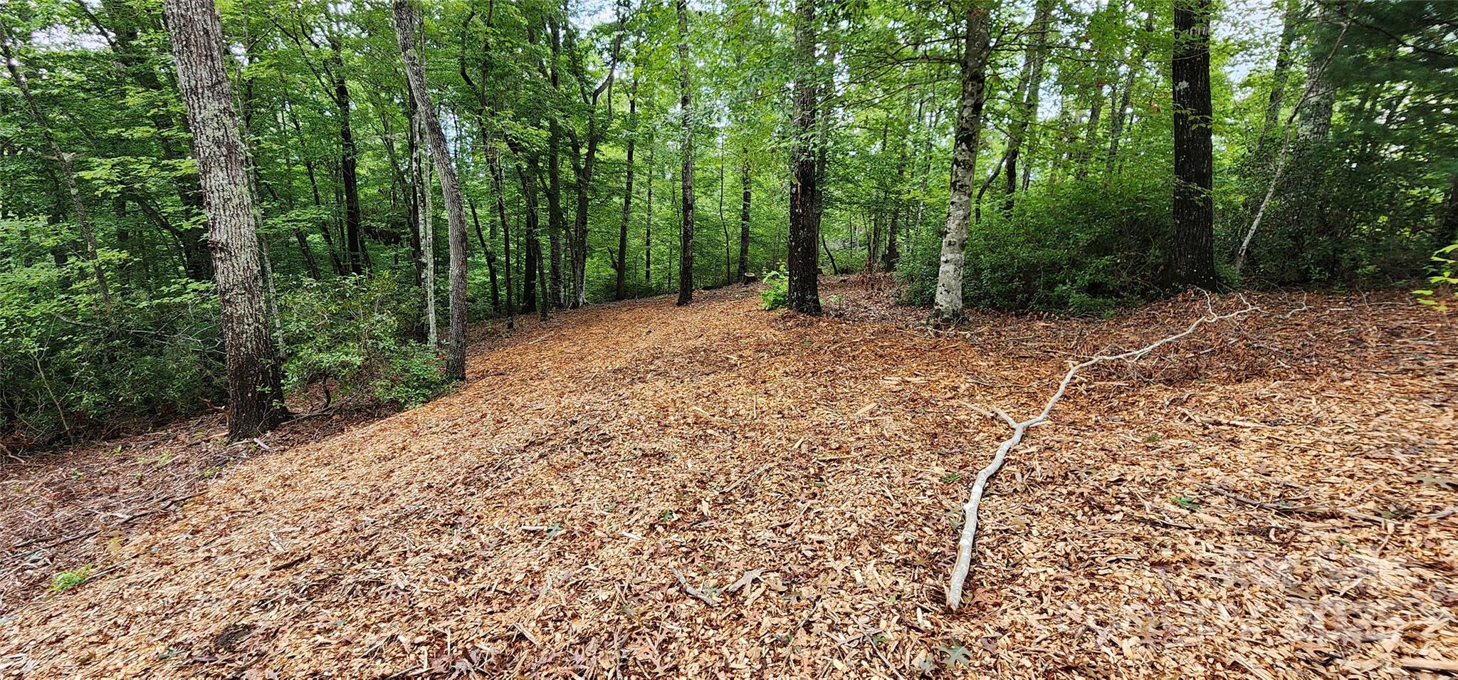 Lot 3 S Cross Creek Trail Mill Spring NC 28756