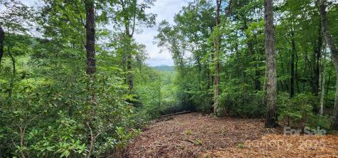 Lot 3 S Cross Creek Trail Mill Spring NC 28756