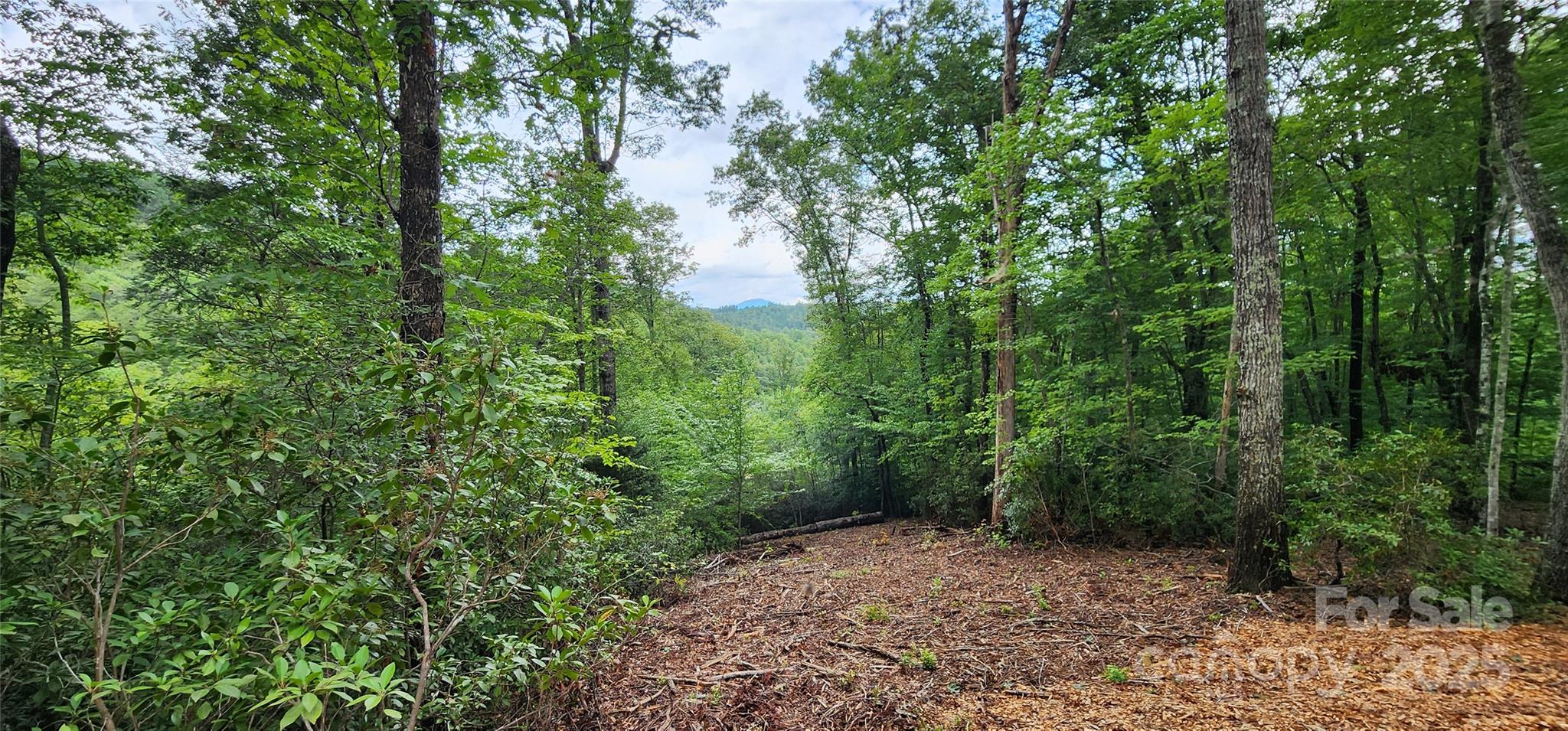 Lot 3 S Cross Creek Trail Mill Spring NC 28756