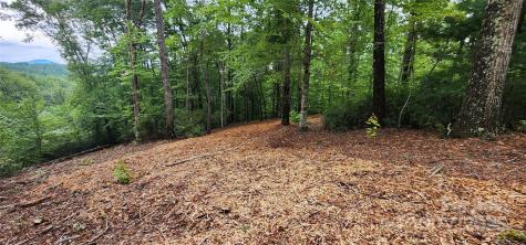 Lot 3 S Cross Creek Trail Mill Spring NC 28756
