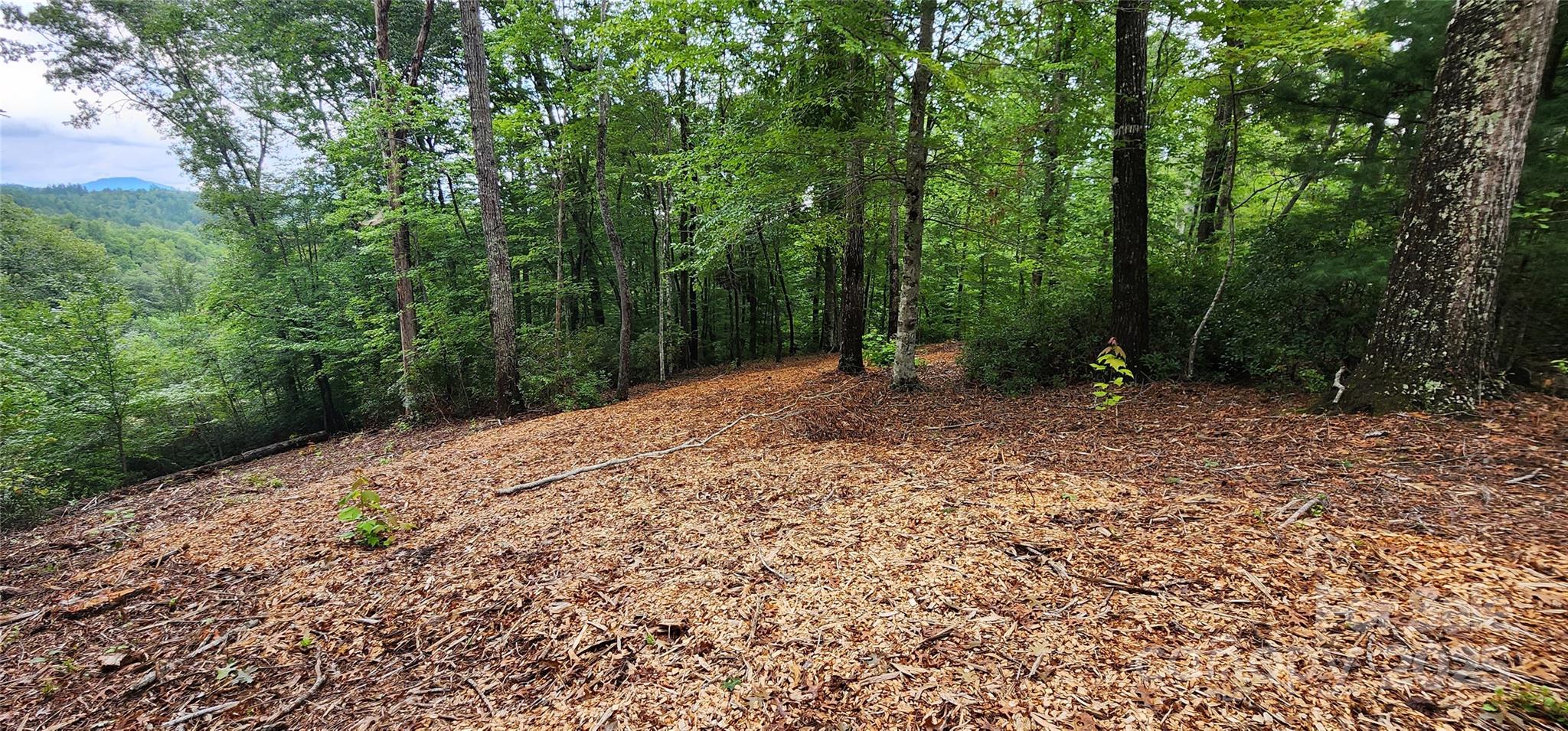 Lot 3 S Cross Creek Trail Mill Spring NC 28756