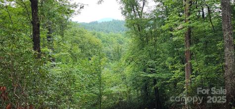 Lot 3 S Cross Creek Trail Mill Spring NC 28756