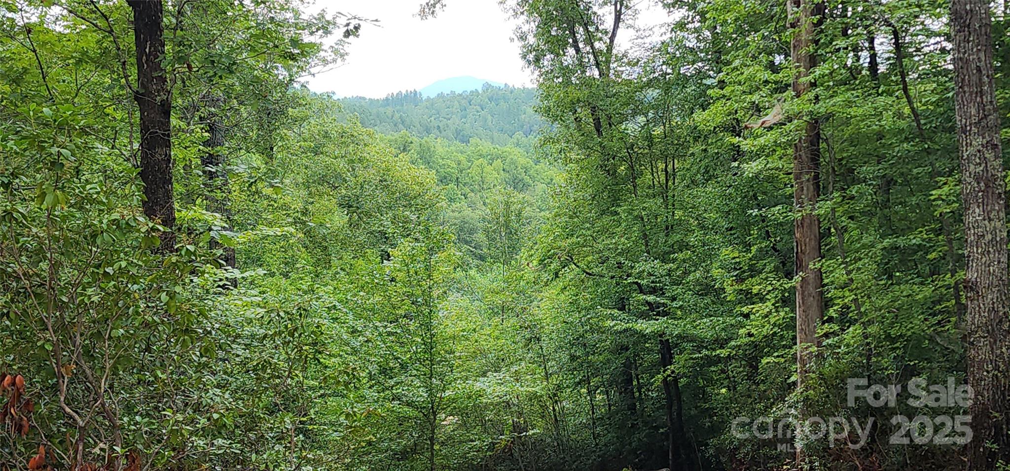 Lot 3 S Cross Creek Trail Mill Spring NC 28756