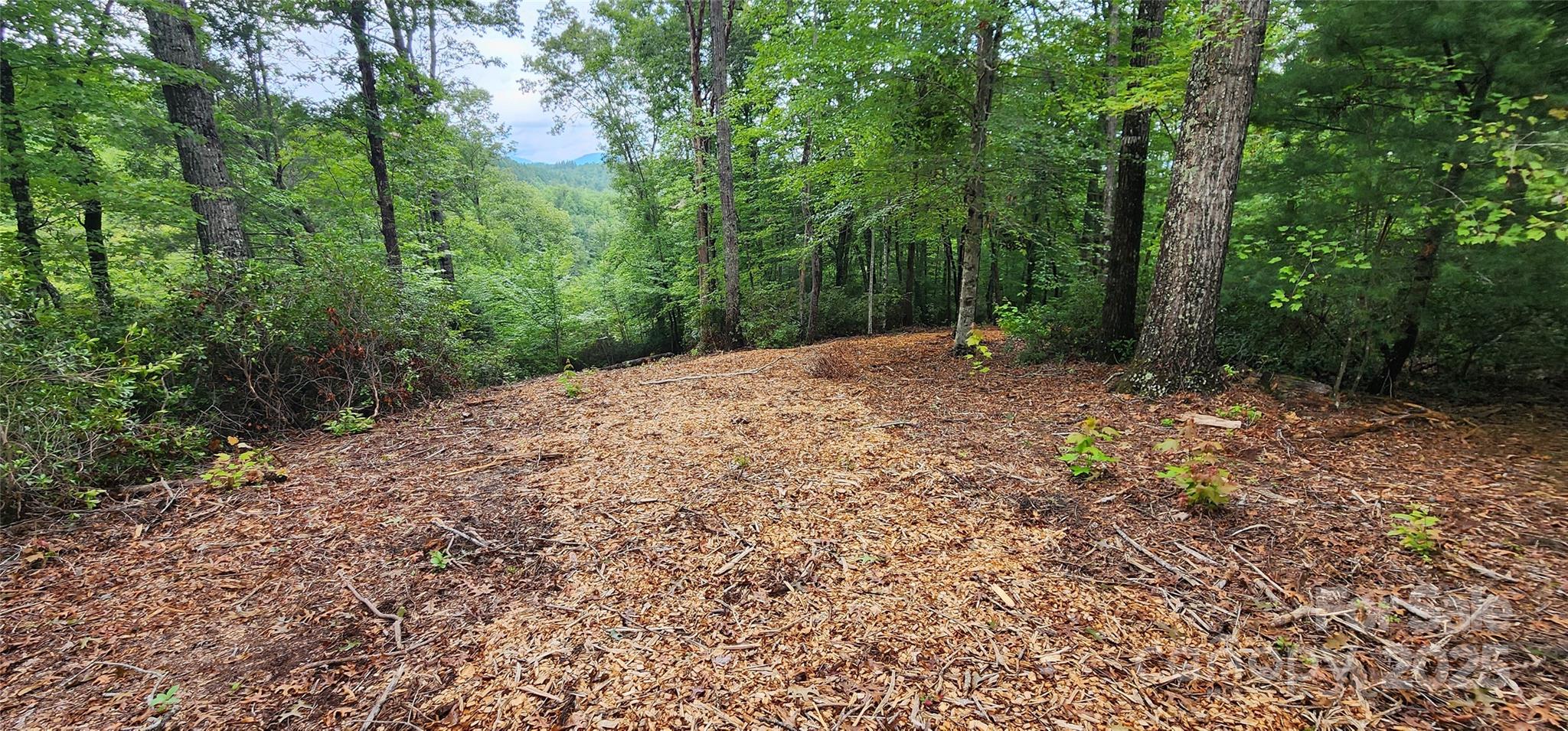 Lot 3 S Cross Creek Trail Mill Spring NC 28756