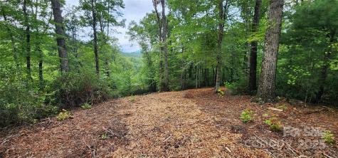 Lot 3 S Cross Creek Trail Mill Spring NC 28756
